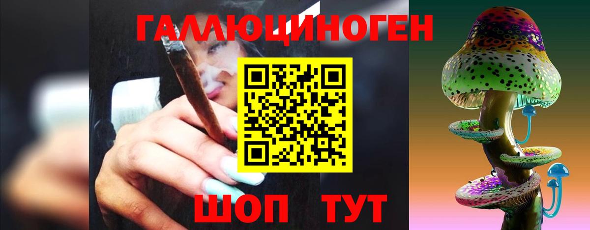 купить закладку  Галлюциногенные грибы Magic Shrooms  Вход с VPN  Лосино-Петровский 